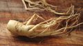 ginseng