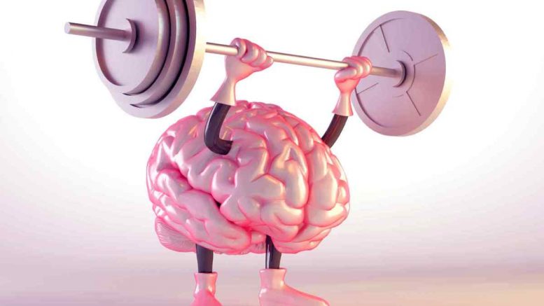 sporten houdt je brein in vorm